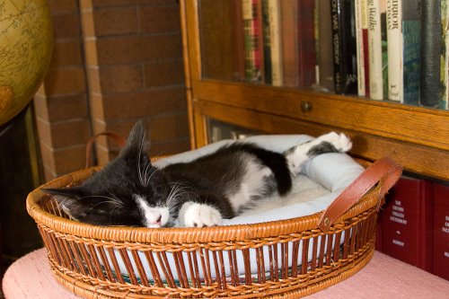 Misha_2008-07-11_IMG_0239